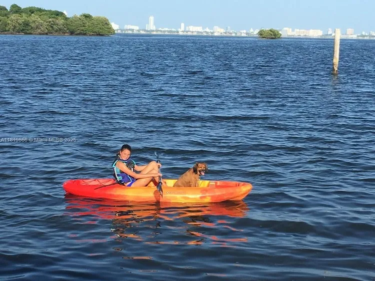 Nirvana 1 #A214 image #34