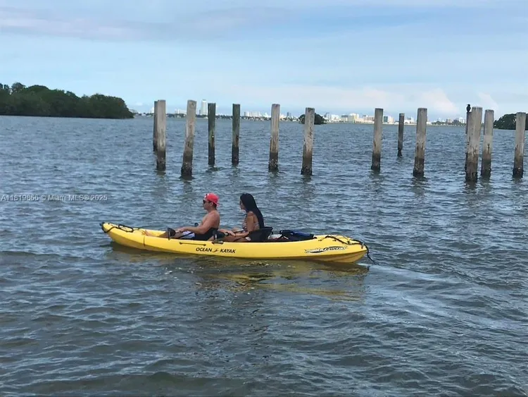 Nirvana 1 #A214 image #35