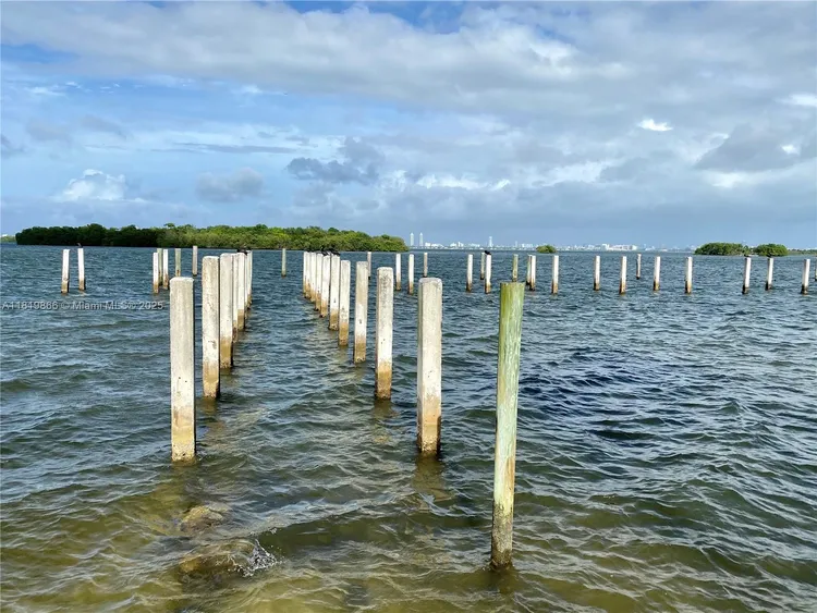 Nirvana 1 #A214 image #36