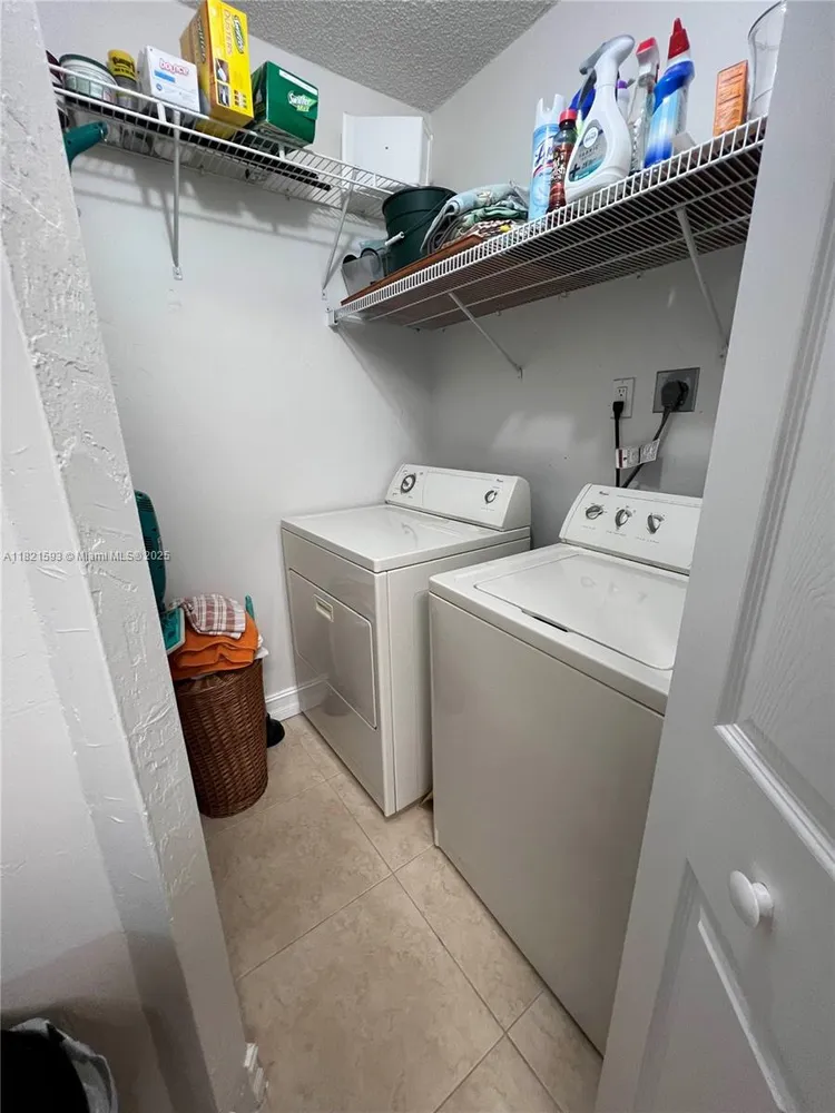 Manatee #706 image #14