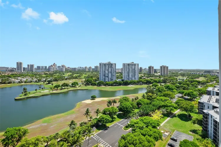 El Dorado #2205 image #10