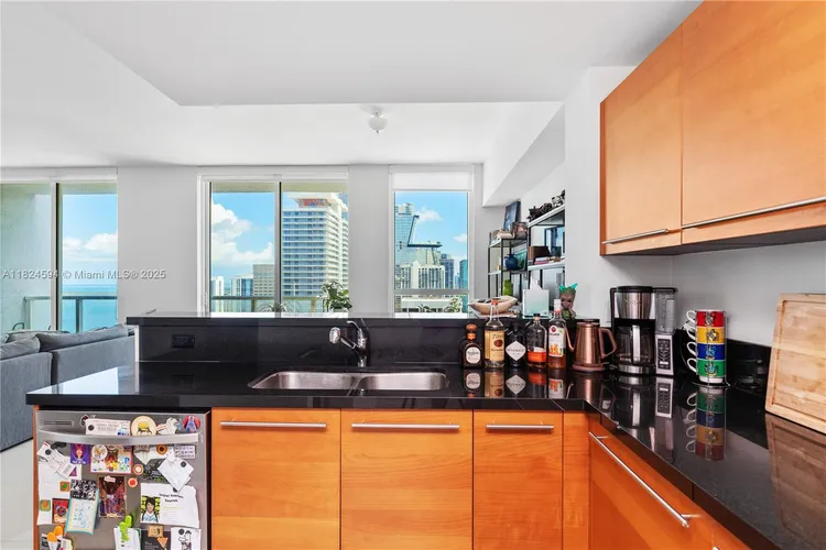 Vizcayne North Tower #4107 image #11