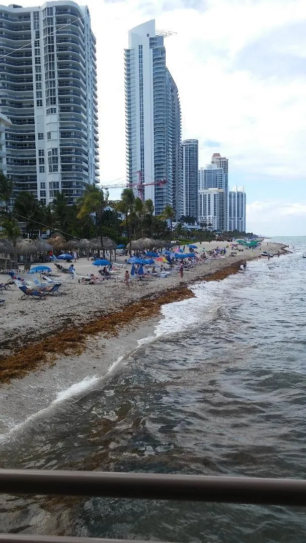 Plaza of the Americas #204 image #6