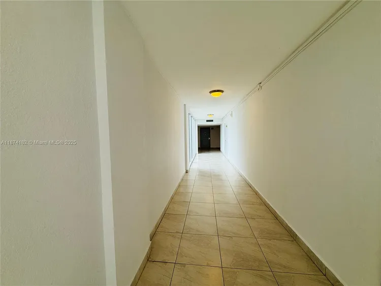 Manatee #510 image #21