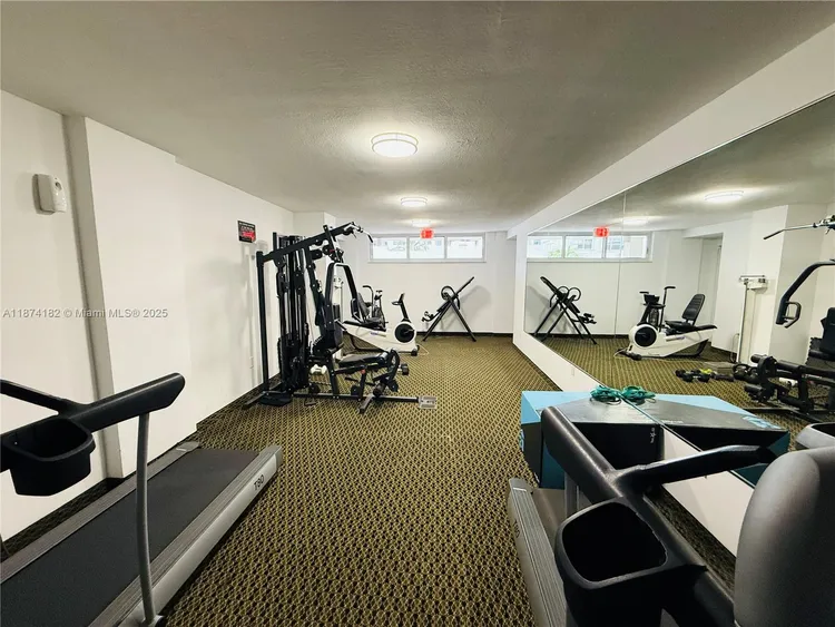 Manatee #510 image #25