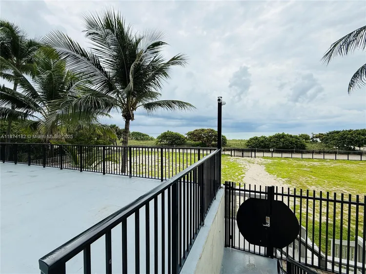 Manatee #510 image #29