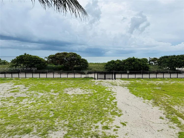 Manatee #510 image #30