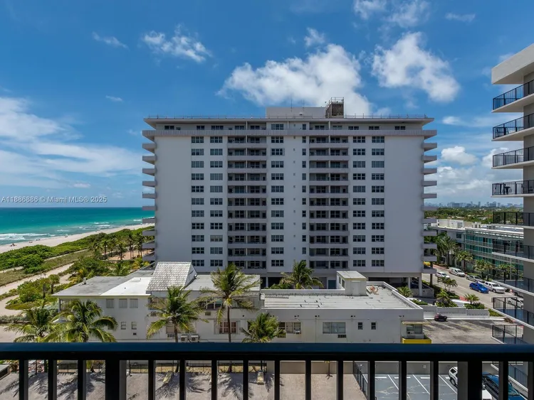 Manatee #703 image #26