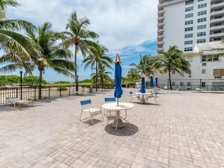 Manatee #703 image #33