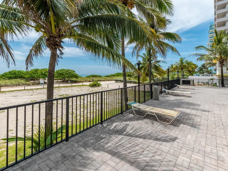 Manatee #703 image #34