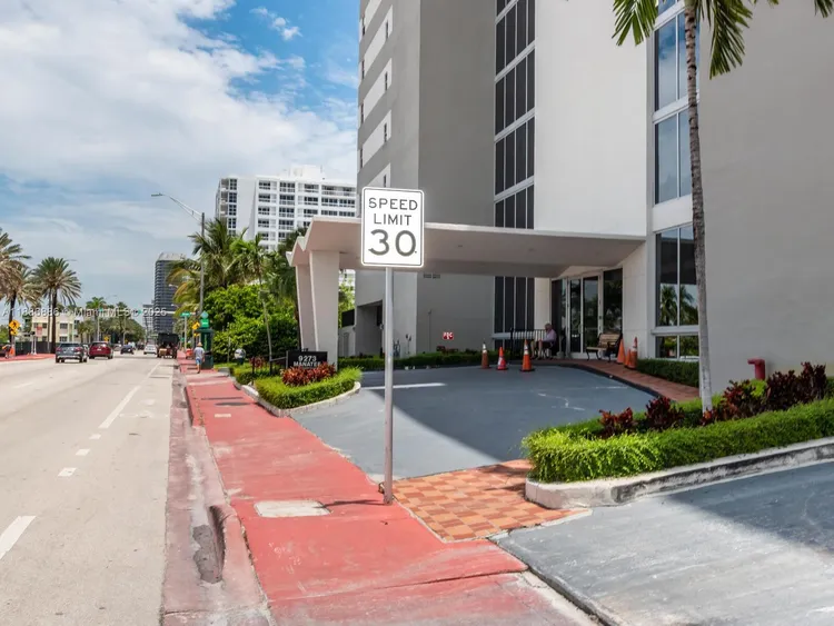 Manatee #703 image #35