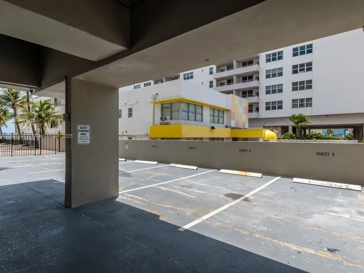 Manatee #703 image #37