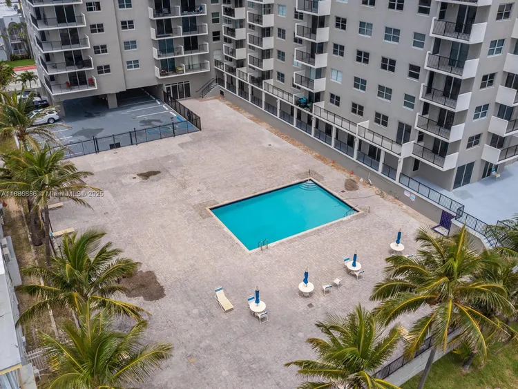 Manatee #703 image #41