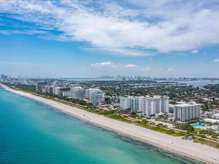 Manatee #703 image #42