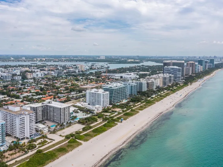 Manatee #703 image #46