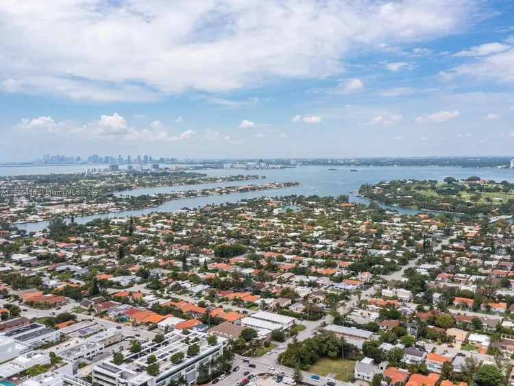 Manatee #703 image #47