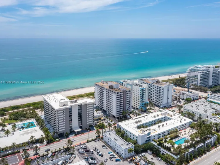 Manatee #703 image #48