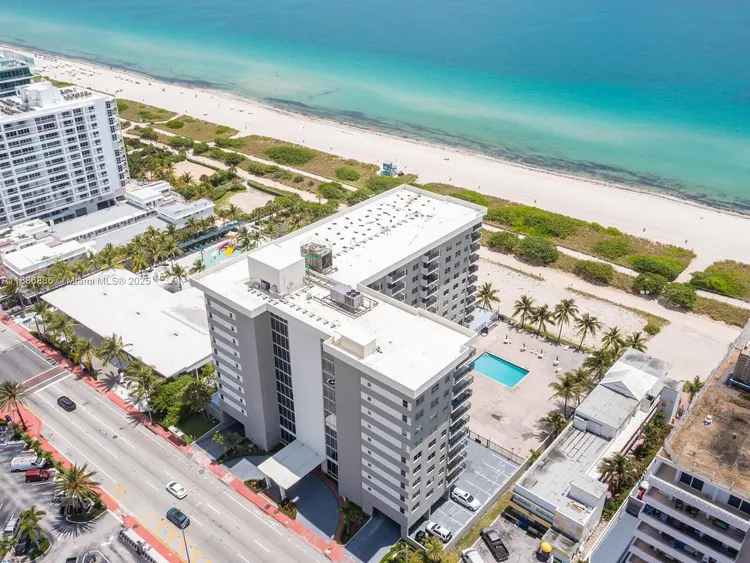Manatee #703 image #49