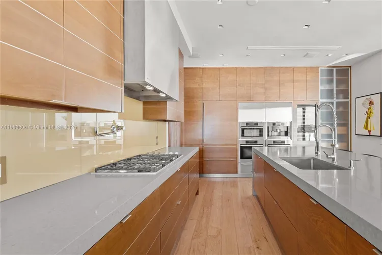 Apogee #704 image #18