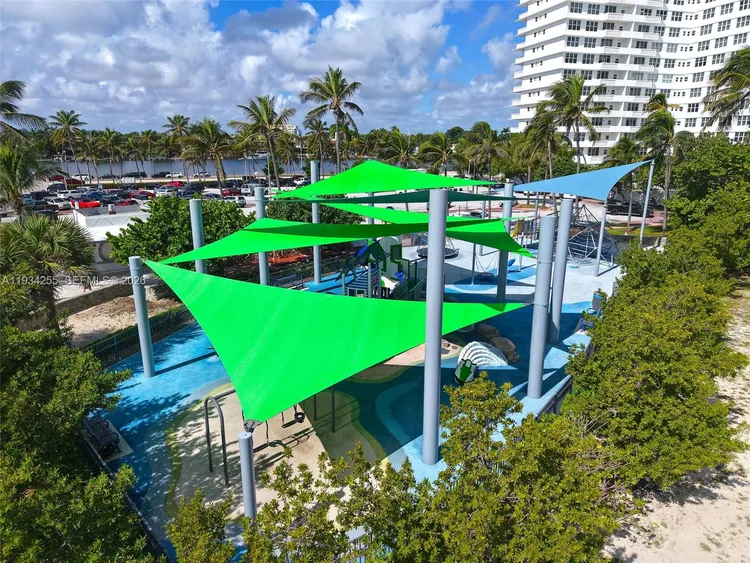 Mimosa #510 image #25