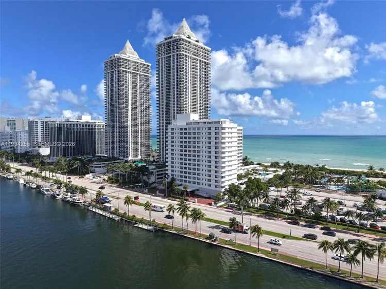 Mimosa #510 image #36