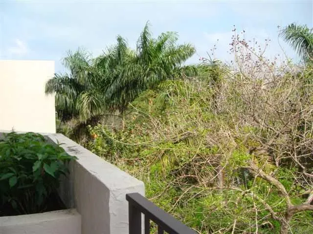 Key Colony IV Botanica #410 image #18