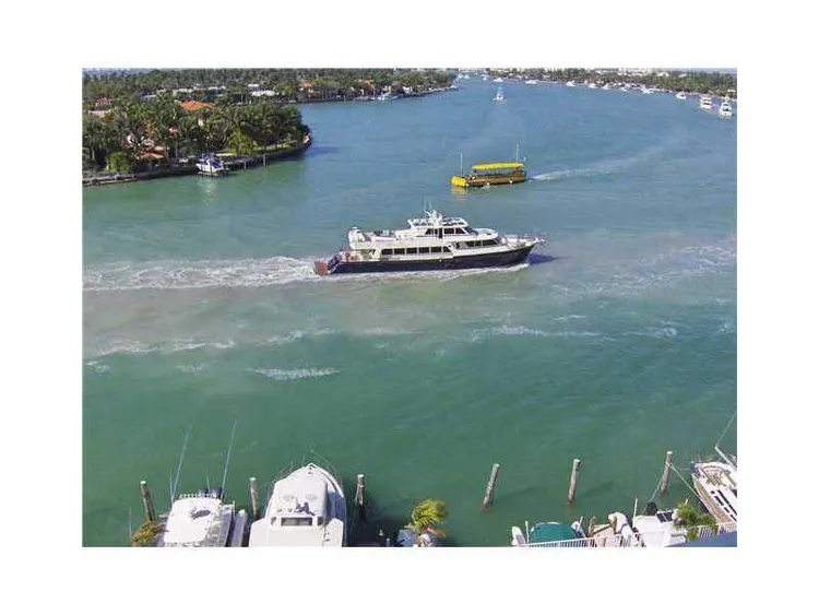 Aquasol #9-J image #6