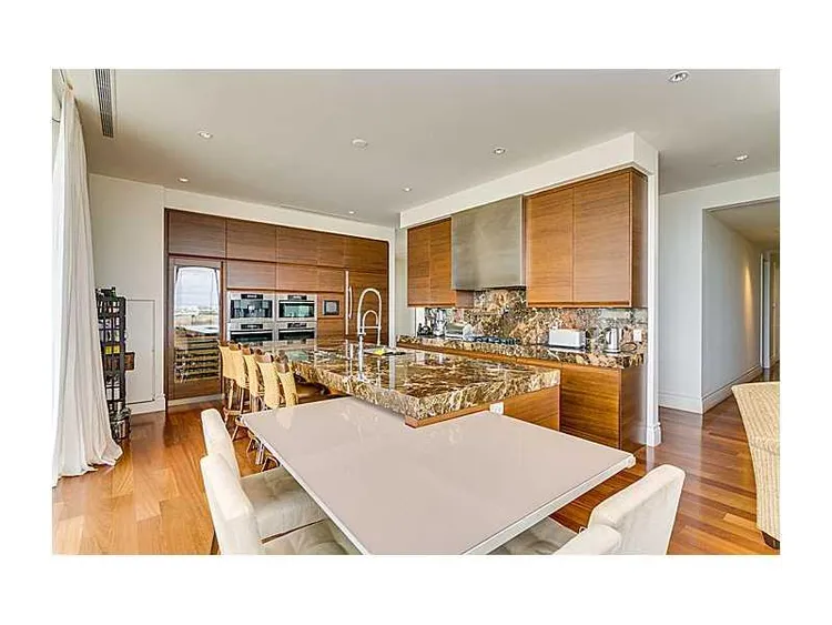 Apogee #701 image #6