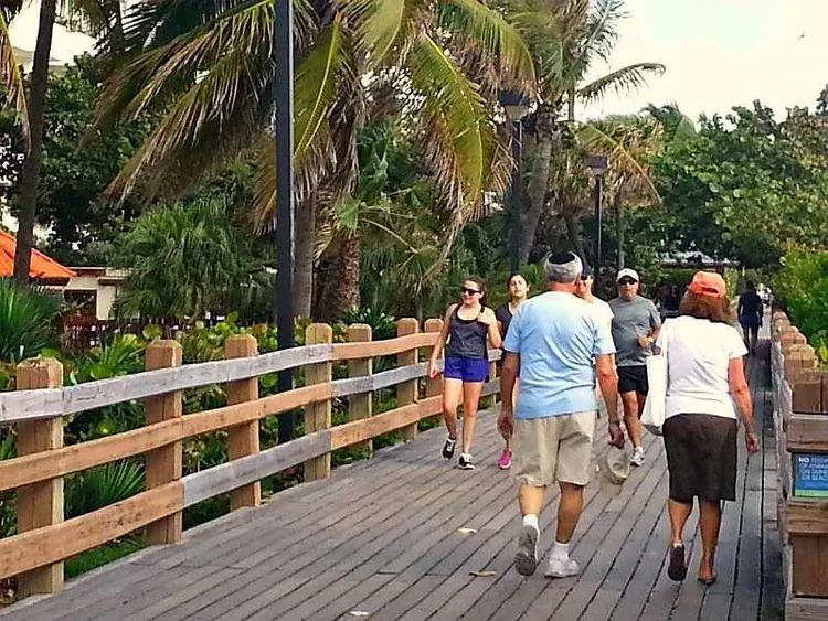 La Tour #1702 image #28