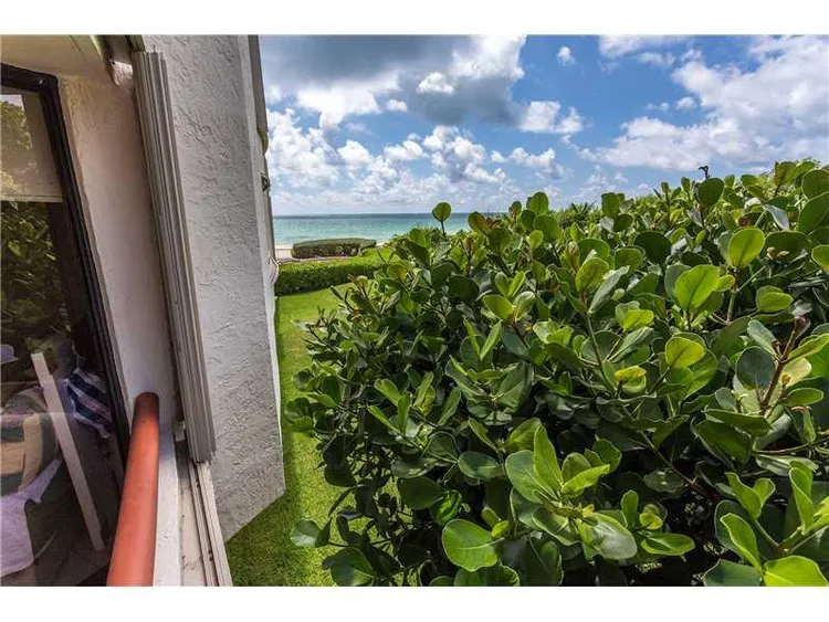 Tropicana #203 image #14