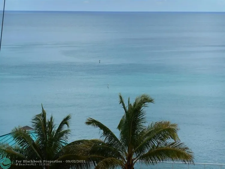 Oceania I #814 image #16