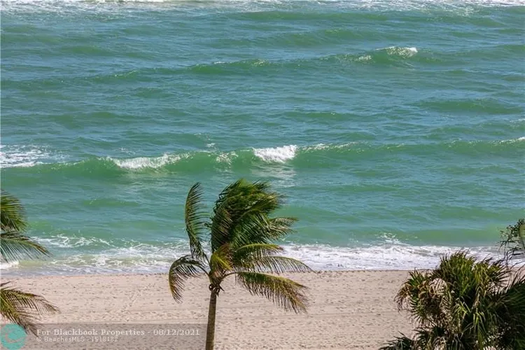 Oceania II #628 image #36