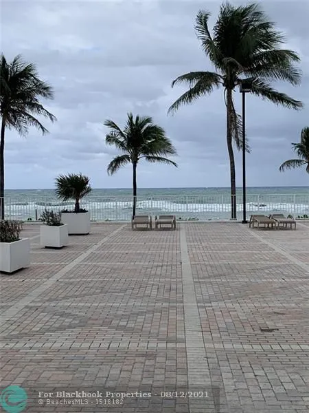 Catania at Quadomain #203 image #7