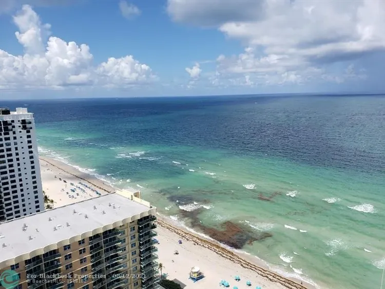 Trump Hollywood #2901 image #46