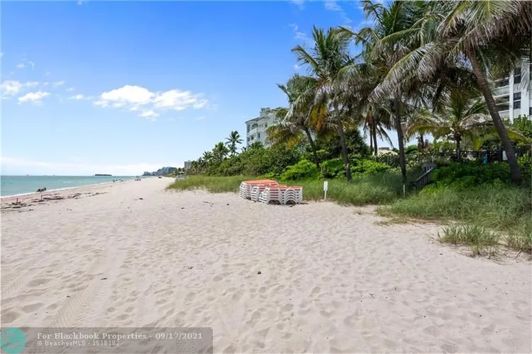 The Vue #1606 image #20