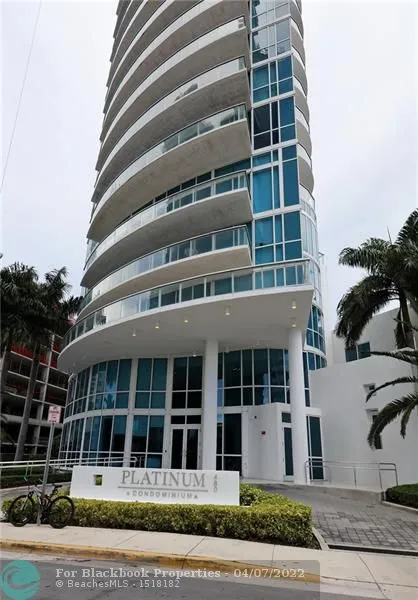 Platinum #PH2205 image #11