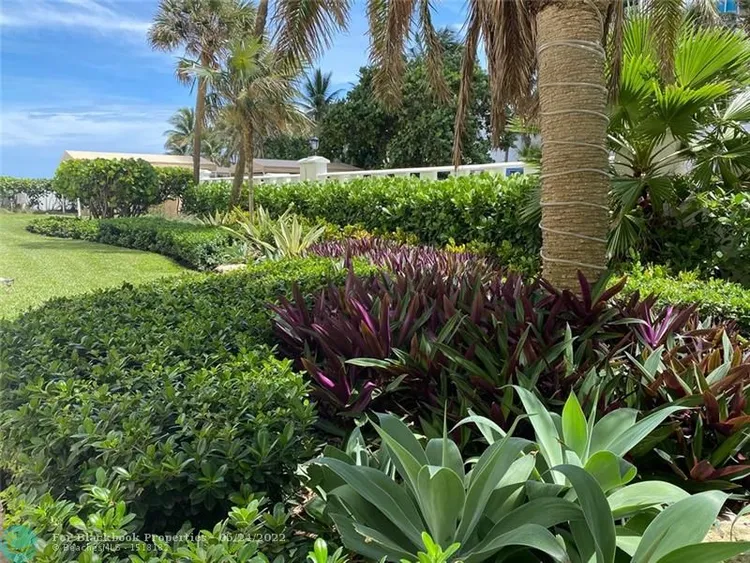 Alexander Towers #1104 image #28