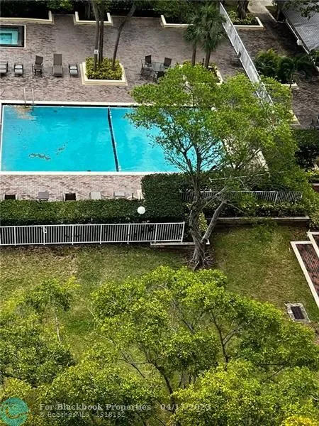 The Jockey Club I #918 image #43