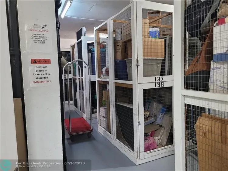 Royal Ambassador #1712 image #32