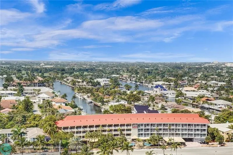 Royal Ambassador #1712 image #39