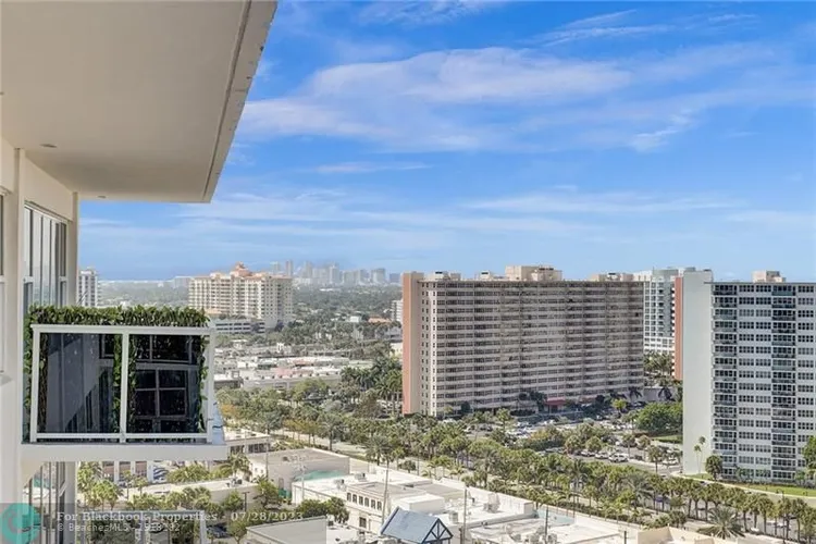 Royal Ambassador #1712 image #40