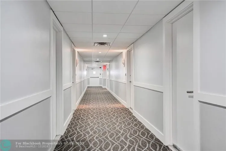 Royal Ambassador #1712 image #45