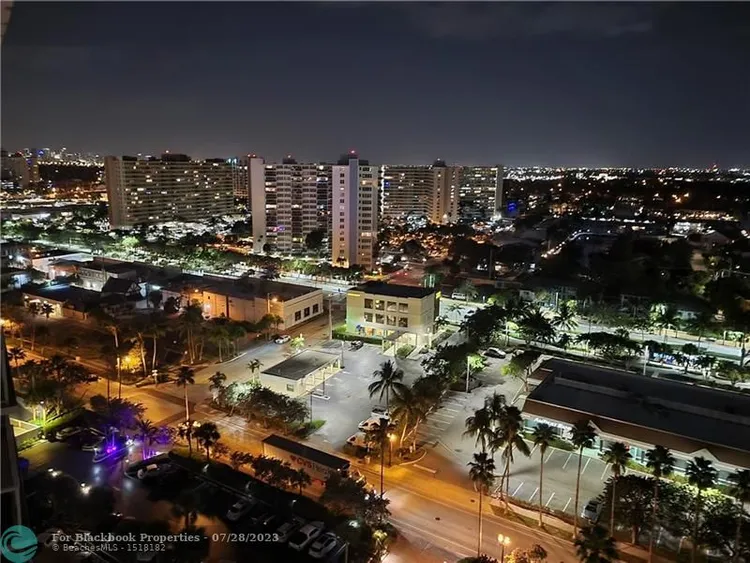 Royal Ambassador #1712 image #47