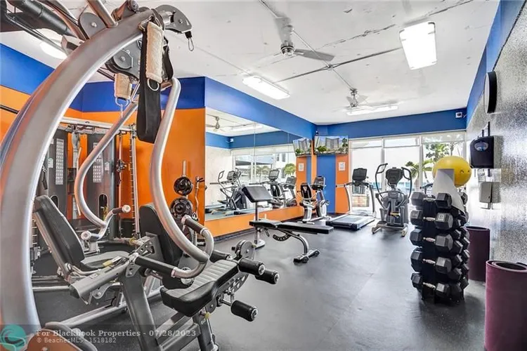 Royal Ambassador #1712 image #51