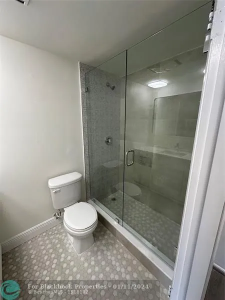 Royal Ambassador #1609 image #10