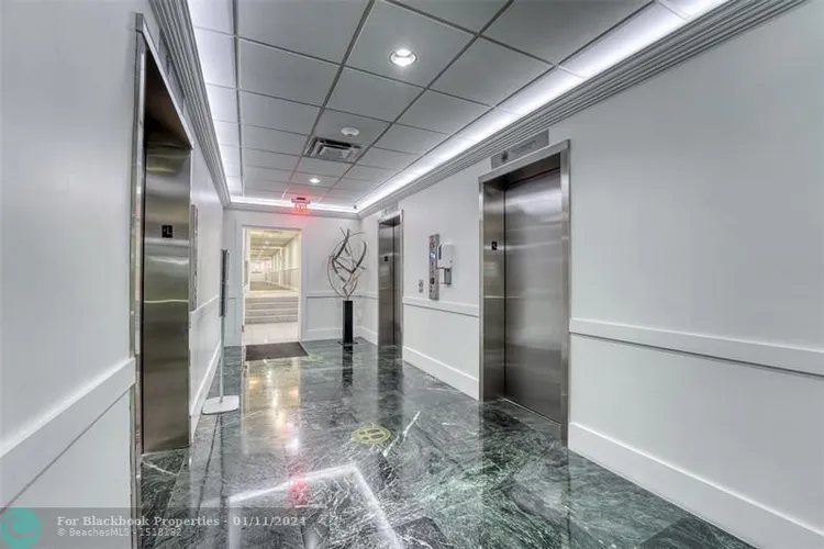 Royal Ambassador #1609 image #15