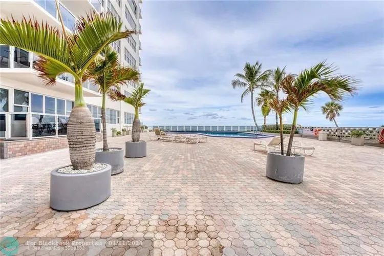 Royal Ambassador #1609 image #16