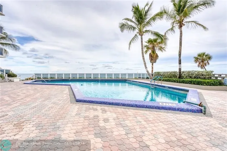 Royal Ambassador #1609 image #17