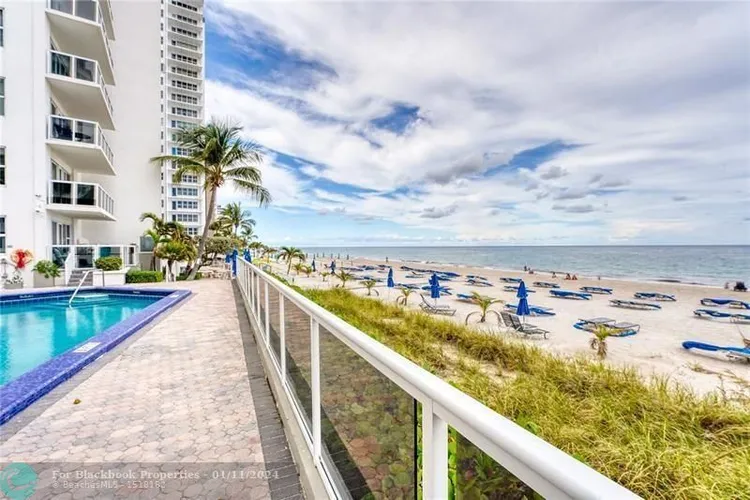 Royal Ambassador #1609 image #18