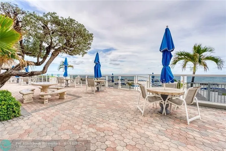 Royal Ambassador #1609 image #19